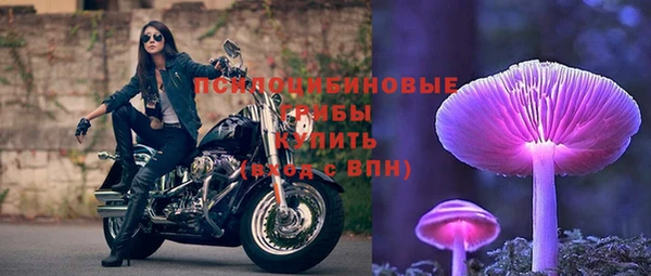 спиды Наволоки